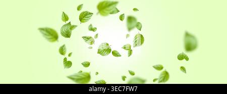 Fresh green mint leaves swirl floating in air with natural motion effect, realistic vector background. Organic herbal concept, cosmetic product design and sustainable beauty banner illustration. Stock Vector
