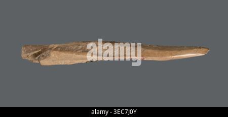 Awl, Awl made from a cut triangular, flat fragment of animal bone; the elongated, sharpened end is polished from use piercing fabrics or leather. Early Jazira III period / Early Dynastic III period, c. 2600–c. 2350 BC. Provenance: Tell Abu Hafur northeastern Syria, Al-Jazira region northern Mesopotamia, Khabur basin. Tool. Height 7.4 cm; width 2.5 cm; diameter of pointed working end 0.4–0.7 cm., A long, narrow carved object with a tapered pointed end and a rougher, thicker opposite end rests against a plain gray background; the object has a light tan to beige color with areas of darker brown Stock Photo