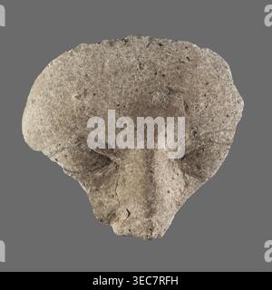 Fragment of a stucco mask; upper part of a sarcophagus mask showing forehead, eyes and nose. Sarcophagus mask, stucco, height 8.8 cm, width 8.9 cm. 2nd century, Roman period, Egypt., A roughly triangular, weathered stone fragment with a textured, pitted surface appears against a flat gray background; the stone shows a palette of beige, tan, light brown, and specks of darker brown and black, with areas of lighter off-white highlights; the shape suggests shallow carved depressions resembling eye sockets and a raised central ridge resembling a nose, with irregular edges, small cracks, and rough Stock Photo