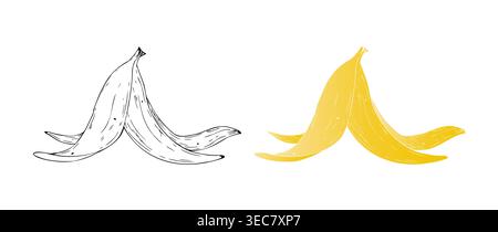 Vector banana peel. Graphic organic waste hand drawn illustration isolated on background. Zero waste, sustainable living concept. For designer, Eco Stock Vector
