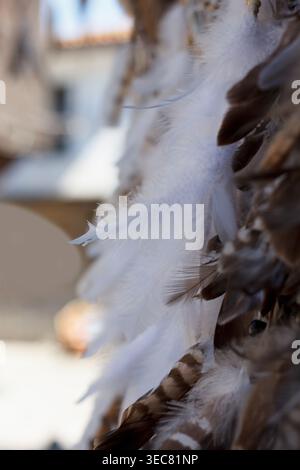 Close-up of white and brown feathers arranged together. Background is blurred, highlighting texture and details of feathers Stock Photo