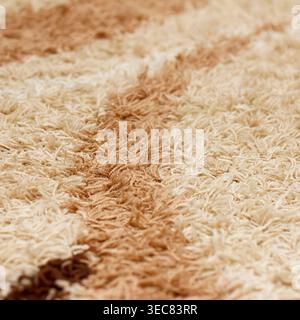 Textured rug with a pattern of brown and cream fibers. Design features a mix of shaggy and smooth textures, creating a cozy appearance Stock Photo