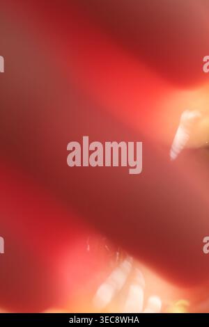 Red abstract blur background with light leak effect, soft gradient texture Stock Photo