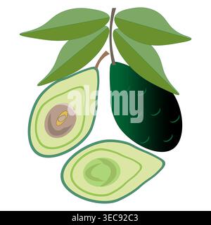 Nutritious avocado Vector. Healthy food collection. Green organic slice. Beautiful natural botanical leaf. Stock Vector