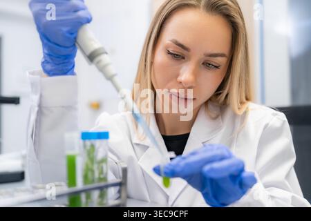 Performing careful liquid transfer using a pipette in a laboratory setting with organic specimens. Clean workspace illuminated by bright lighting, showcasing green plant materials in test tubes. Stock Photo