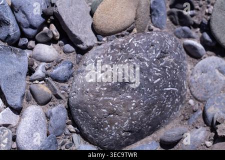 Riverbed Rocks Along Bighorn River Stock Photo