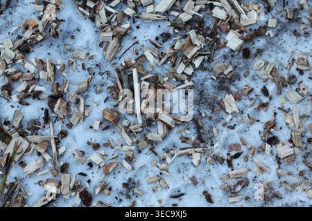 Wood Chippings On The Snowy Ground Stock Photo