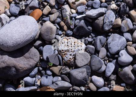 Riverbed Stones Along Bighorn River Stock Photo