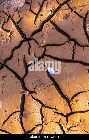 Cracked Earth. An arid landscape with cracked, dry earth patterns in a warm orange hue Stock Photo