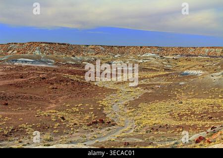 View From Giant Logs Trail in the Petrified Forest National Park, Arizona, USA Stock Photo
