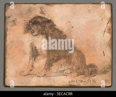 Sitting Dog; Płoński, Michał (1778–1812), graphic artist; animal studies; dogs; 1802; Amsterdam; graphic; graphic matrix/plate; height 6.2 cm; width 8 cm, A sketch of a seated dog with long, wavy fur rendered in fine dark lines on a rectangular, weathered copper-toned panel; the dog faces slightly left with a visible snout, floppy ears, and a bushy tail curled near its hindquarters, and its fur shows detailed strokes suggesting texture; the panel background is mottled with shades of peachy copper, light tan, and darker brown spots and scratch marks, and a narrow darker border frames the panel Stock Photo