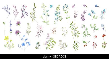 Watercolor botanical set of wild flowers, herbs, green leaves. Isolated floral elements on white for wedding invitation, greeting card. Vector EPS. Stock Vector