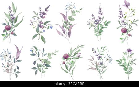 Collection of watercolor floral elements and bouquets with wildflowers, clover, and eucalyptus. Hand drawn botanical clipart set. Vector EPS. Stock Vector