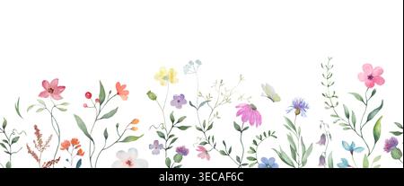 Watercolor wildflower seamless border, hand drawn botanical horizontal frame with colorful meadow flowers. Header on white background. Vector EPS. Stock Vector