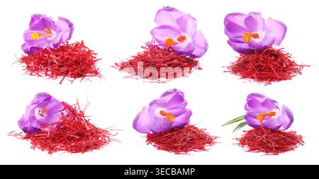 Saffron and crocus flowers isolated on white, set Stock Photo