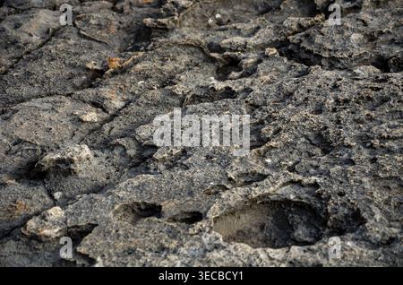 Close-Up of Rough Textured Rock Surface Stock Photo