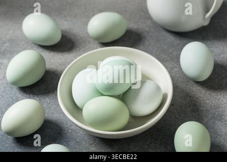 Raw Organic Blue Green Eggs Ready to Cook in a Bowl Stock Photo