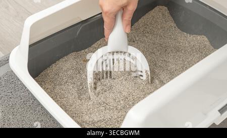 Hand is seen using a scoop to remove waste from an odor-free litter box filled with fine sand, placed on a textured floor indoors Stock Photo