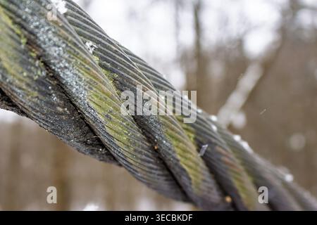 Robust suspension bridge cable closeup, covered in frosty dew and green moss. This textured steel structure endures winter's embrace, showcasing gritt Stock Photo