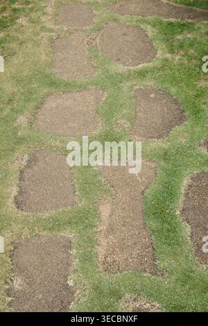 grey stone stepping path in green grass lawn, top angle view, garden design concept with copy space and soft focus Stock Photo