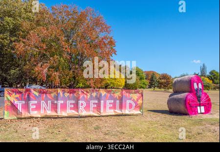 Hay Bale competition  in Tenterfield Stock Photo