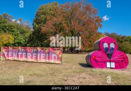 Hay Bale competition  in Tenterfield Stock Photo