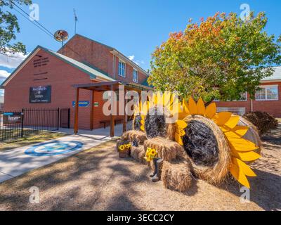 Hay Bale competition  in Tenterfield Stock Photo
