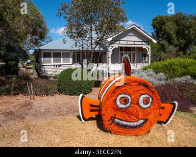 Hay Bale competition  in Tenterfield Stock Photo