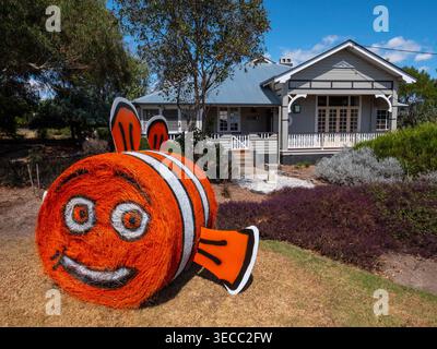 Hay Bale competition  in Tenterfield Stock Photo