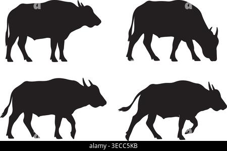 Buffalo Silhouette Vector Illustration Bundle Isolated on White Background Asset Art Stock Vector