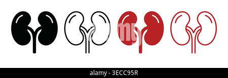 Human kidney anatomy collection in flat and line symbol style, medical health, bodily organs, biology, medicine, and wellness Stock Vector