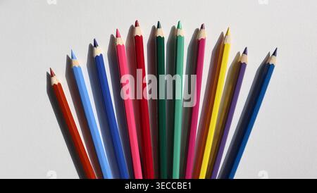 A group of colored pencils is placed in a circular layout on a white surface. The pencils show many colors, pointing outward. This setup captures the Stock Photo