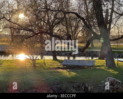 Peaceful riverside park with an empty bench under sprawling trees at golden sunset. Warm sunlight, reflections and long shadows create a calm atmosphe Stock Photo