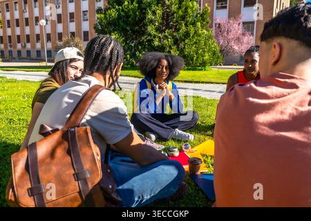 Diverse students discussing learning on university campus grass Stock Photo
