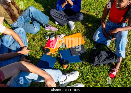 Diverse students studying together on university campus grass Stock Photo