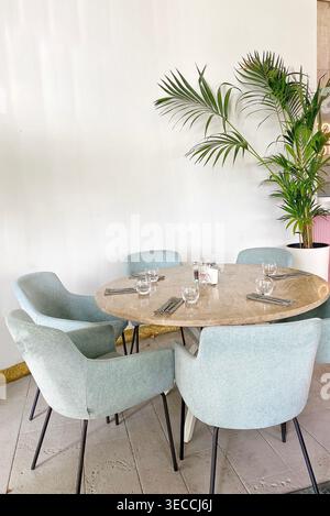 Modern cafe interior with round table, chairs, plant, soft daylight, minimal design Stock Photo