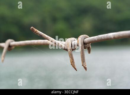A close up view details a segment of old, rusty barbed wire. Stock Photo