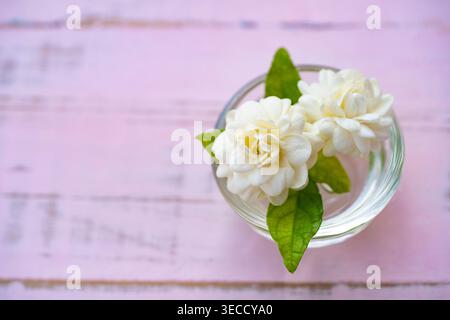 Top view of white Arabian Jasmine flowers (Jasminum sambac) in glass on pink distressed wooden background, shabby chic style with copy space for relax Stock Photo