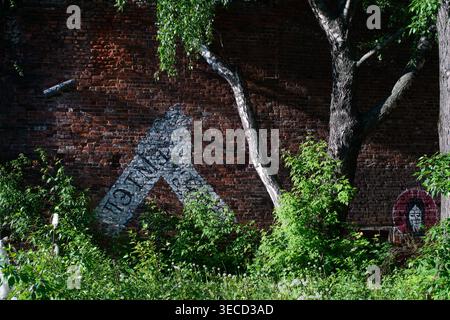 Graffiti letter painted on a weathered brick wall framed by overgrown trees, shrubs, blending urban street art with nature. Stock Photo