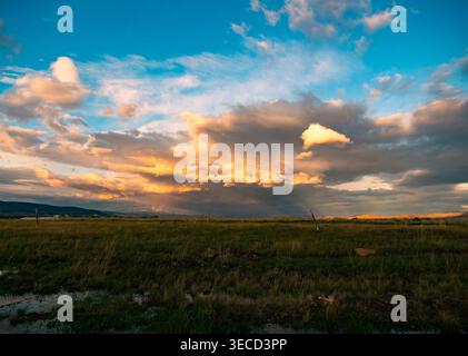 Expansive grassy field under a dramatically lit sky with golden clouds and distant mountains during evening Stock Photo