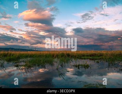 Evening light illuminates wetland grasses and sky, casting colorful reflections on calm marsh water Stock Photo