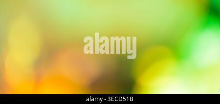 Green yellow and orange abstract background with vibrant blurred bokeh for natural sunny backdrop Stock Photo