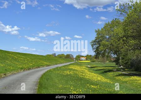 A winding path through a green meadow with yellow flowers under a blue sky with clouds, Neu-Bleckede, spring, cycle tourism, bicycle travel, Mecklenbu Stock Photo