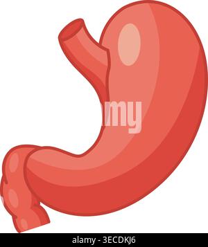 Human Stomach. Vector Illustration of Internal Organ. Medicine Concept Stock Vector