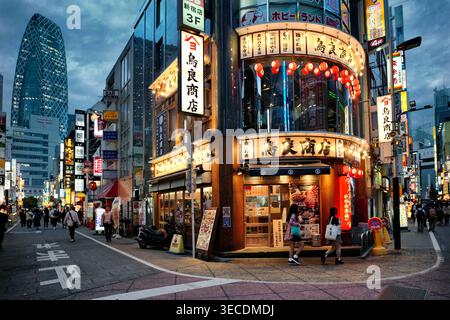 Japan, Honshu island, Kanto, Tokyo, Shinjuku //Japan, Honshu island, Kanto, Tokyo, Shinjuku district. Stock Photo
