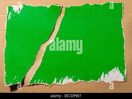 Ripped corrugated cardboard revealing a vibrant green screen background, providing unique texture and copy space for design mockups Stock Photo