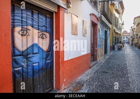 A painted door as part of The Art of Open Doors along the Rua de Santa Maria in Funchal, Madiera october 2024 Stock Photo