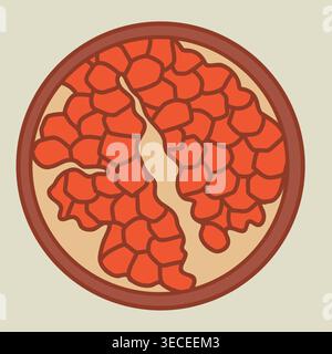 Half of ripe pomegranate fruit vector illustration. Stock Vector