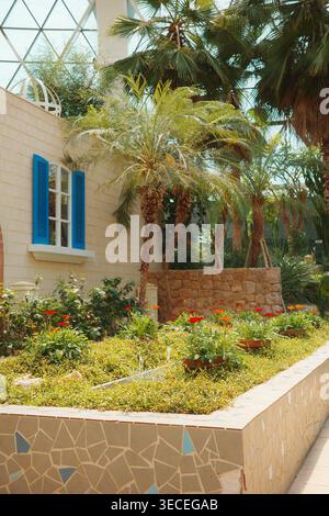 Date palms and orange zinnias in a mosaic raised bed beside a blue-shuttered wall inside a Mediterranean-themed botanical conservatory glasshouse. Stock Photo