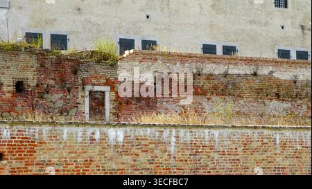 Old weathered brick wall with overgrown foliage on top, suitable for architectural or design projects and background use. Stock Photo